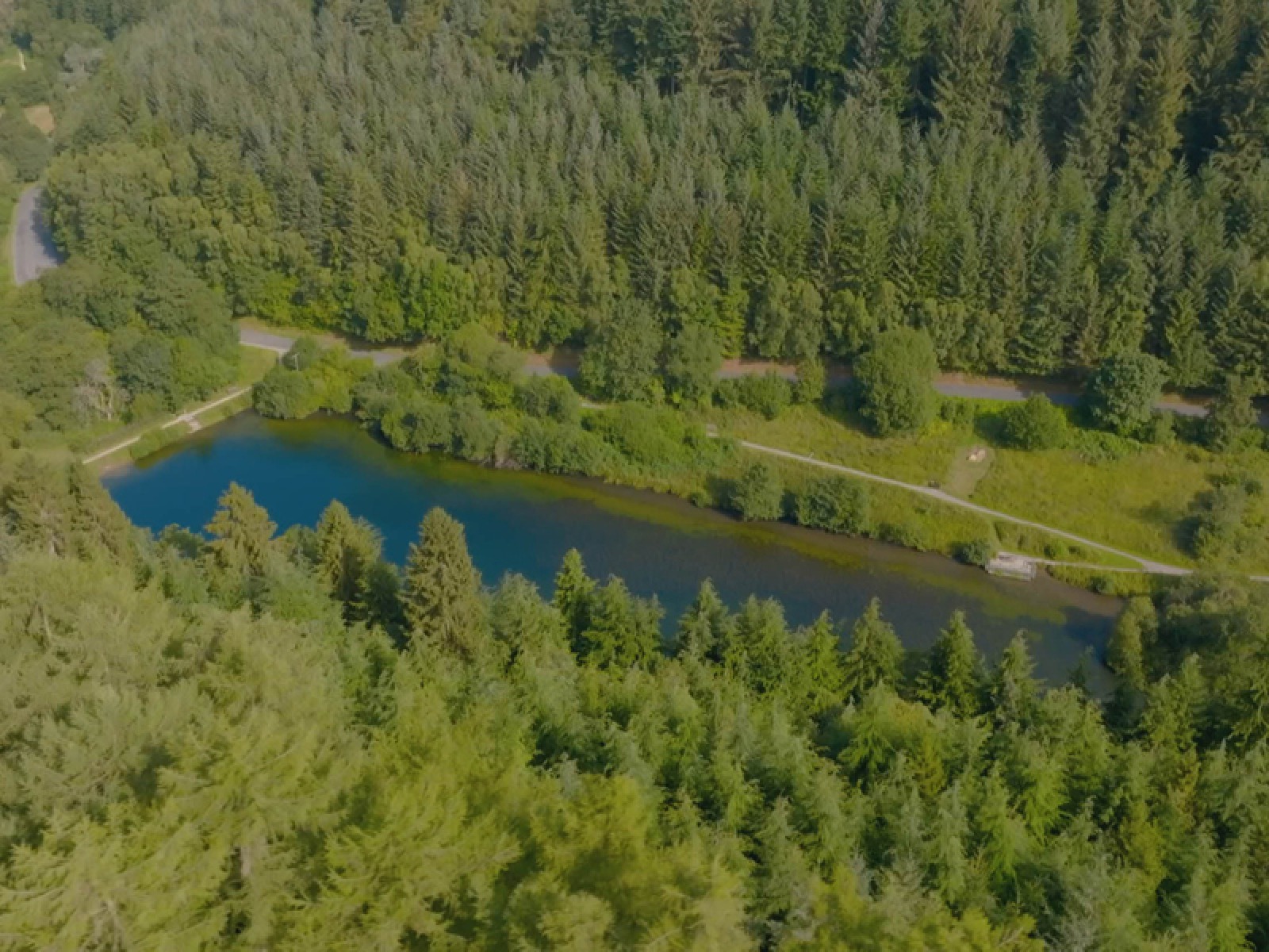 North Yorkshires Forests Set to Appear in Channel 5 Show the Secret